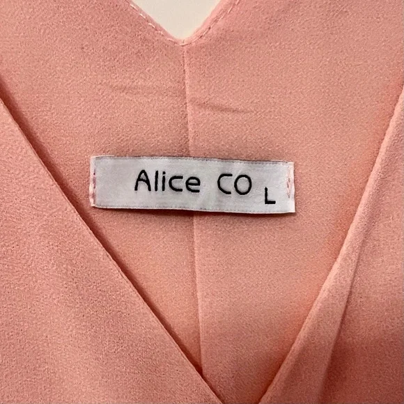 NWOT Light Pink VNeck Sleeveless Shell Blouse Size L - Picture 2 of 3